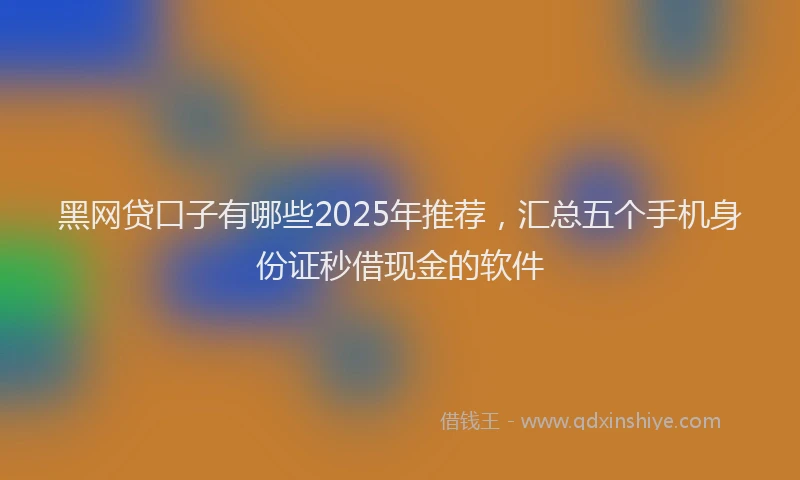 黑网贷口子有哪些2025年推荐，汇总五个手机身份证秒借现金的软件
