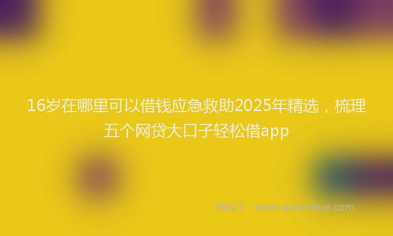 16岁在哪里可以借钱应急救助2025年精选，梳理五个网贷大口子轻松借app