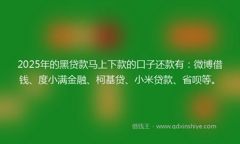 2025年的黑贷款马上下款的口子还款有：微博借钱、度小满金融、柯基贷、小米贷款、省呗等。