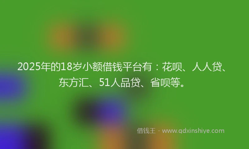 2025年的18岁小额借钱平台有：花呗、人人贷、东方汇、51人品贷、省呗等。