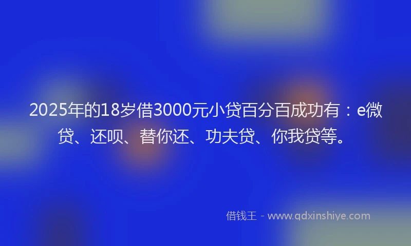 2025年的18岁借3000元小贷百分百成功有：e微贷、还呗、替你还、功夫贷、你我贷等。