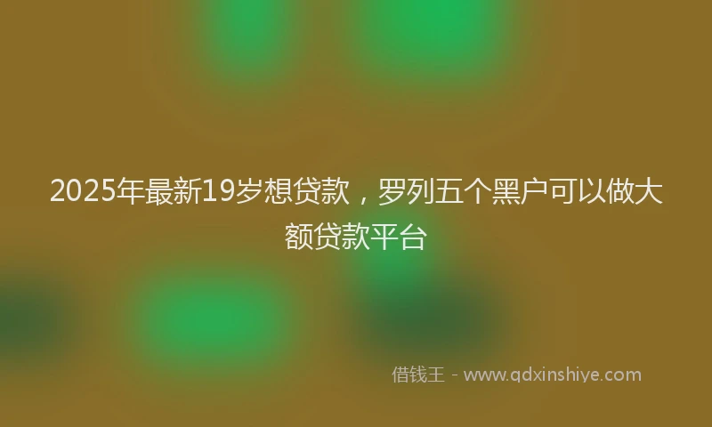 2025年最新19岁想贷款，罗列五个黑户可以做大额贷款平台