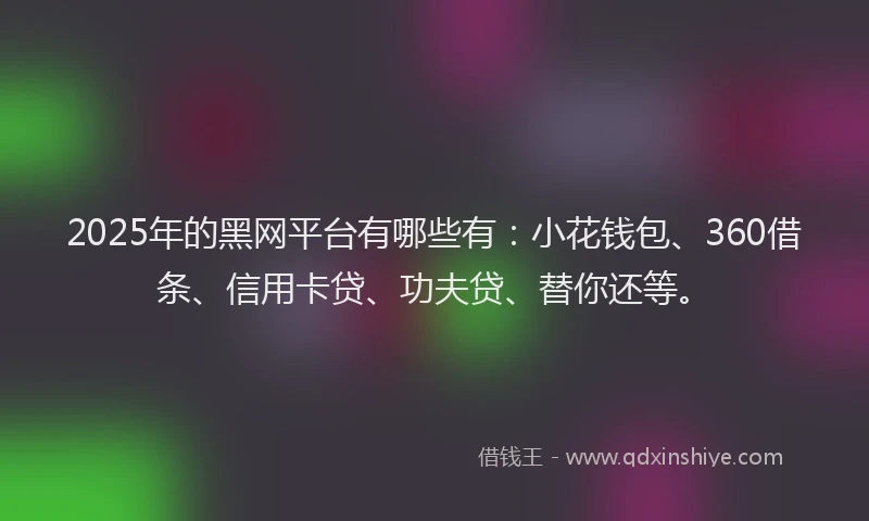 2025年的黑网平台有哪些有：小花钱包、360借条、信用卡贷、功夫贷、替你还等。
