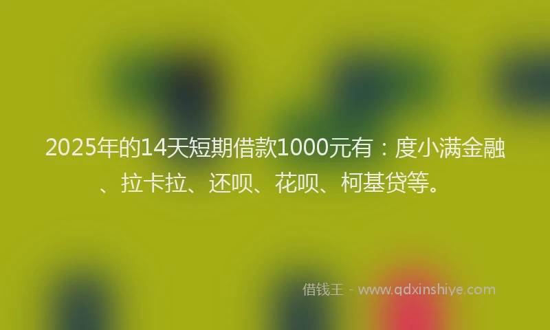 2025年的14天短期借款1000元有：度小满金融、拉卡拉、还呗、花呗、柯基贷等。