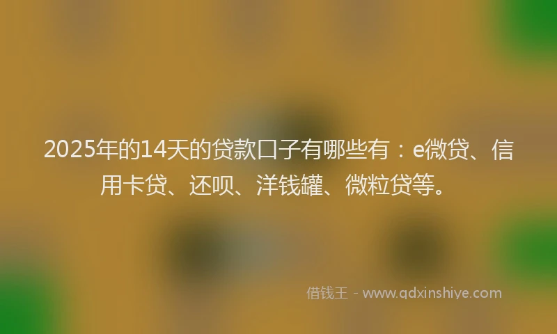 2025年的14天的贷款口子有哪些有：e微贷、信用卡贷、还呗、洋钱罐、微粒贷等。