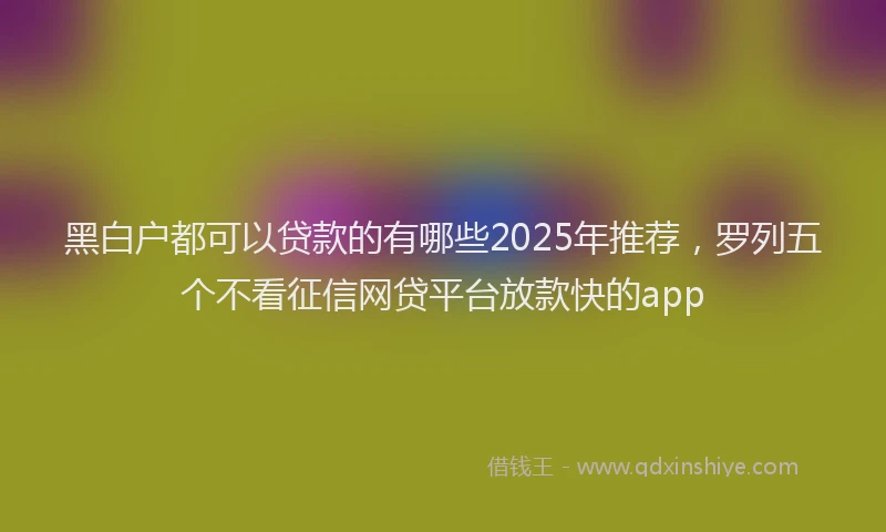 黑白户都可以贷款的有哪些2025年推荐，罗列五个不看征信网贷平台放款快的app