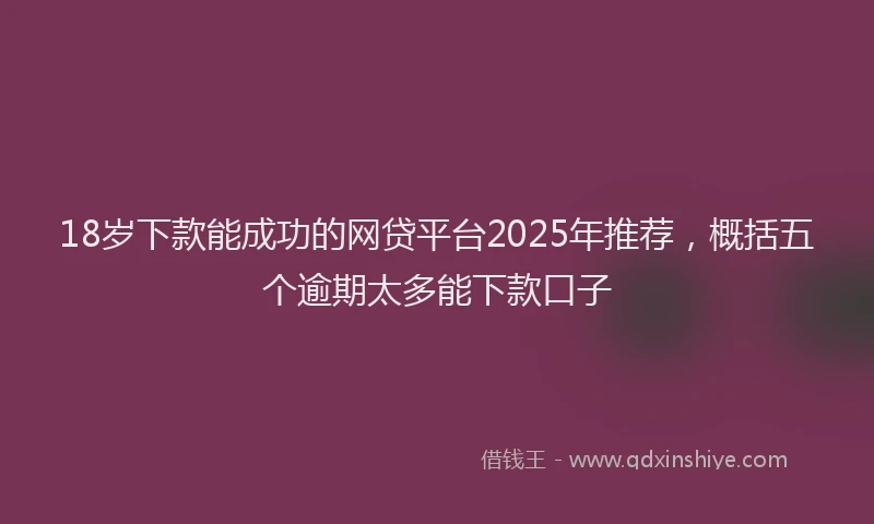 18岁下款能成功的网贷平台2025年推荐，概括五个逾期太多能下款口子