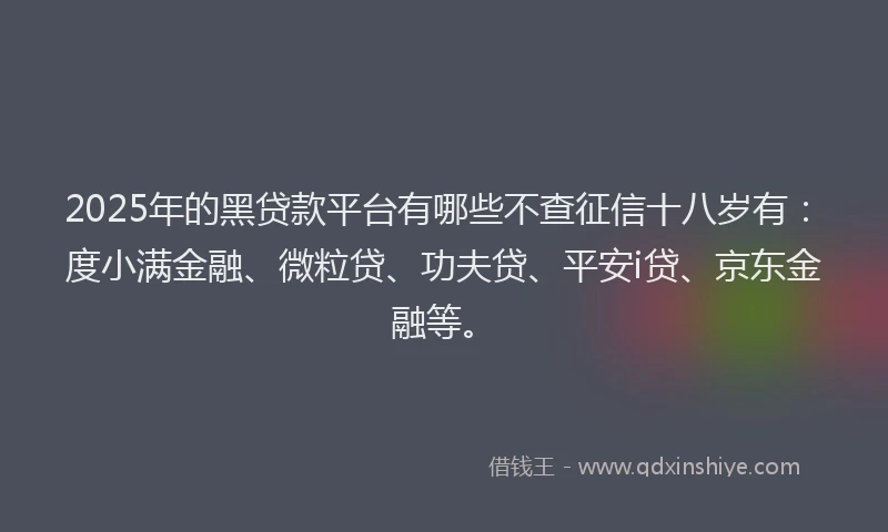 2025年的黑贷款平台有哪些不查征信十八岁有：度小满金融、微粒贷、功夫贷、平安i贷、京东金融等。