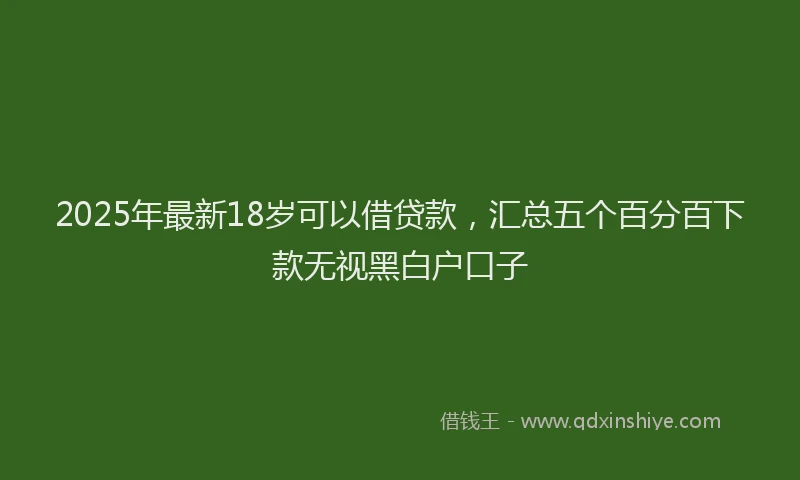 2025年最新18岁可以借贷款，汇总五个百分百下款无视黑白户口子