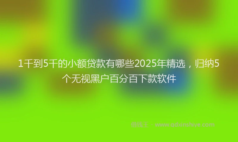 1千到5千的小额贷款有哪些2025年精选，归纳5个无视黑户百分百下款软件