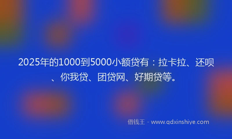 2025年的1000到5000小额贷有：拉卡拉、还呗、你我贷、团贷网、好期贷等。