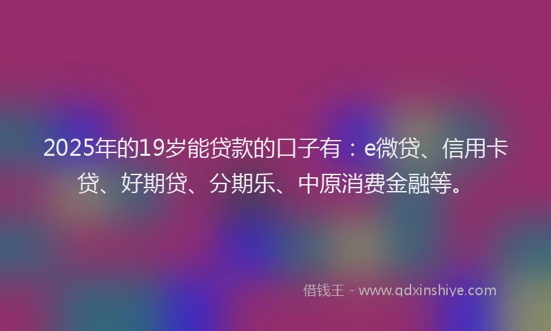 2025年的19岁能贷款的口子有：e微贷、信用卡贷、好期贷、分期乐、中原消费金融等。
