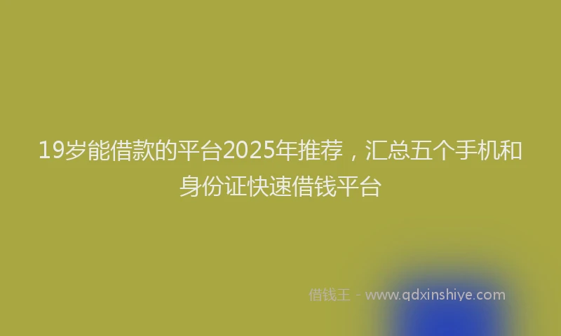 19岁能借款的平台2025年推荐，汇总五个手机和身份证快速借钱平台