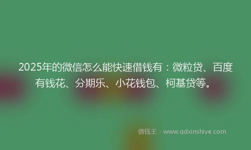 2025年的微信怎么能快速借钱有：微粒贷、百度有钱花、分期乐、小花钱包、柯基贷等。