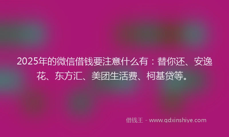2025年的微信借钱要注意什么有：替你还、安逸花、东方汇、美团生活费、柯基贷等。
