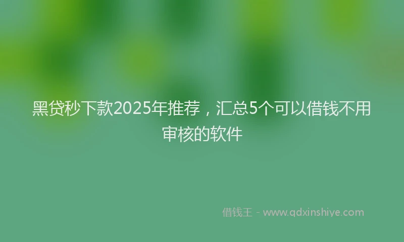 黑贷秒下款2025年推荐，汇总5个可以借钱不用审核的软件