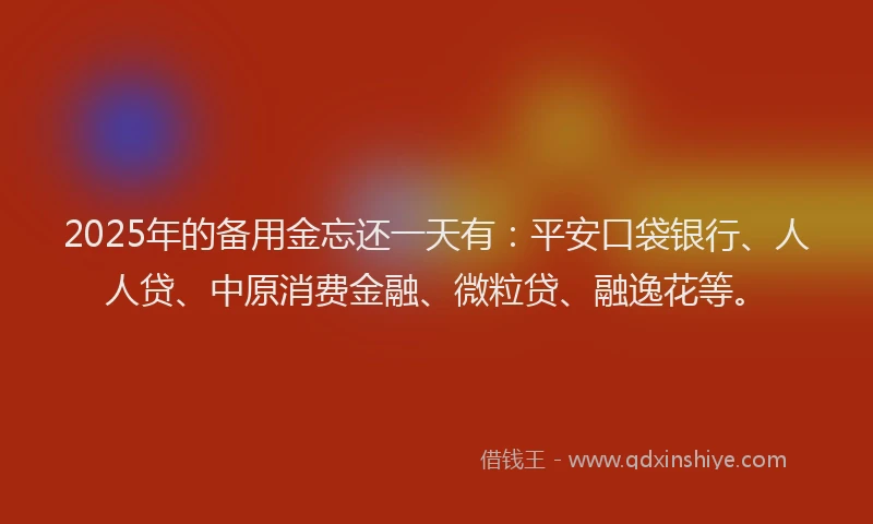 2025年的备用金忘还一天有：平安口袋银行、人人贷、中原消费金融、微粒贷、融逸花等。