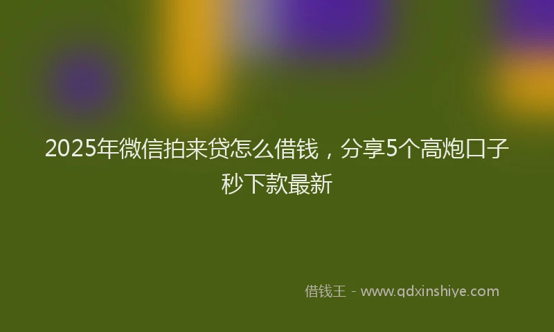 2025年微信拍来贷怎么借钱，分享5个高炮口子秒下款最新