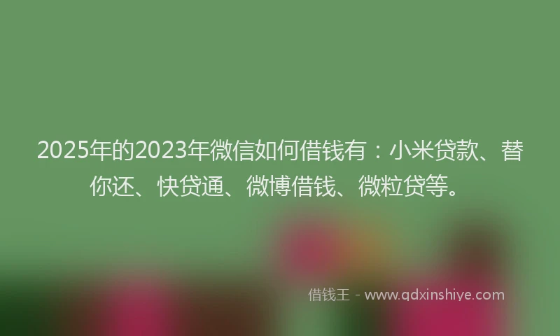 2025年的2023年微信如何借钱有：小米贷款、替你还、快贷通、微博借钱、微粒贷等。