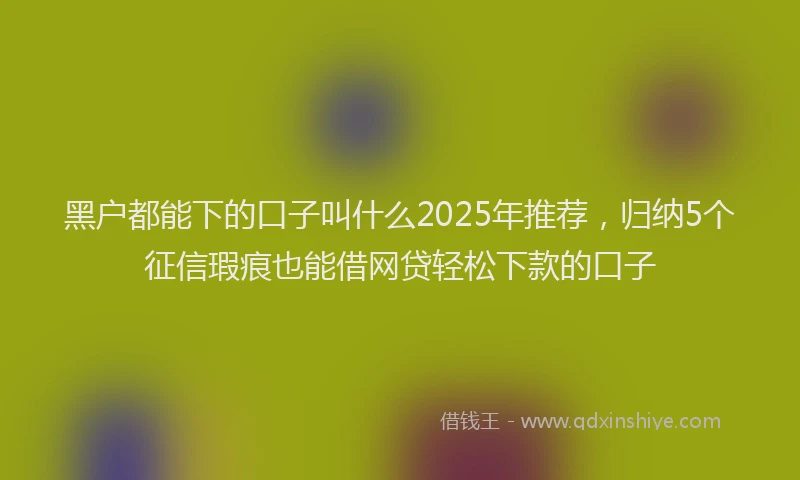 黑户都能下的口子叫什么2025年推荐，归纳5个征信瑕疵也能借网贷轻松下款的口子