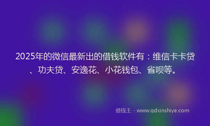 2025年的微信最新出的借钱软件有：维信卡卡贷、功夫贷、安逸花、小花钱包、省呗等。