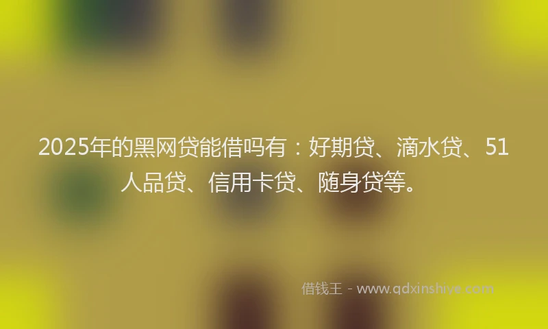 2025年的黑网贷能借吗有：好期贷、滴水贷、51人品贷、信用卡贷、随身贷等。
