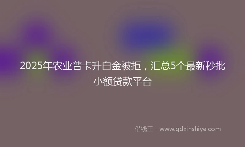 2025年农业普卡升白金被拒，汇总5个最新秒批小额贷款平台