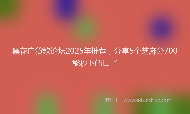黑花户贷款论坛2025年推荐，分享5个芝麻分700能秒下的口子