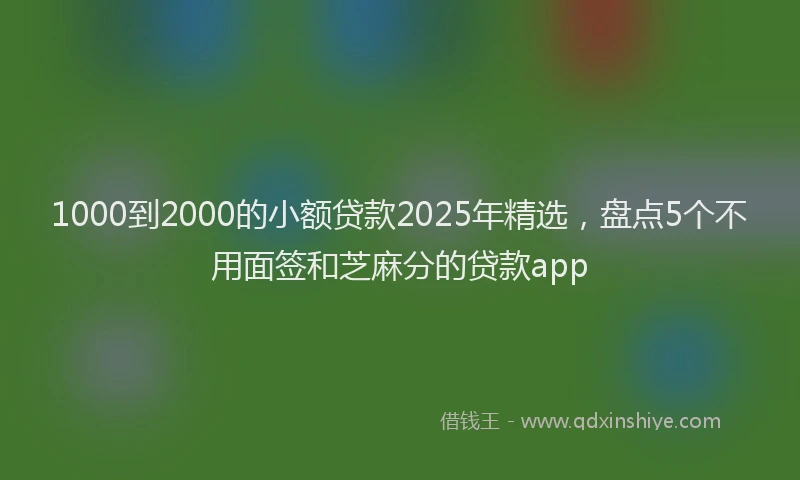 1000到2000的小额贷款2025年精选，盘点5个不用面签和芝麻分的贷款app