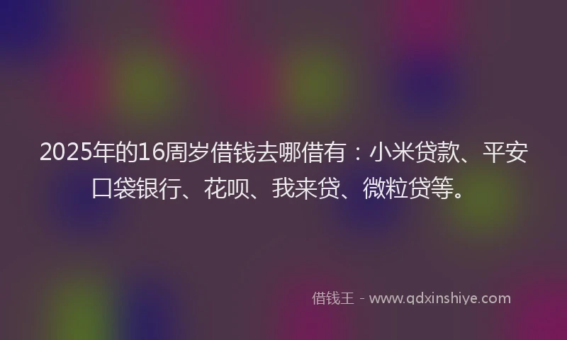 2025年的16周岁借钱去哪借有：小米贷款、平安口袋银行、花呗、我来贷、微粒贷等。