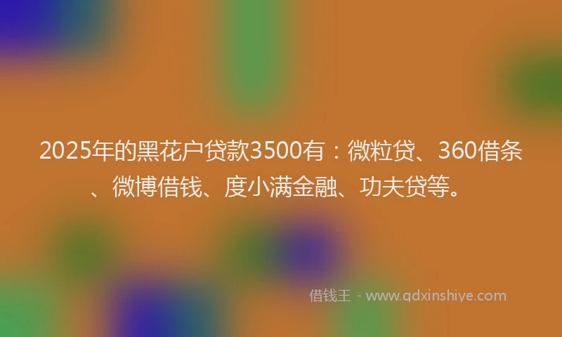 2025年的黑花户贷款3500有：微粒贷、360借条、微博借钱、度小满金融、功夫贷等。