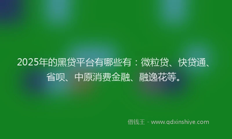 2025年的黑贷平台有哪些有：微粒贷、快贷通、省呗、中原消费金融、融逸花等。