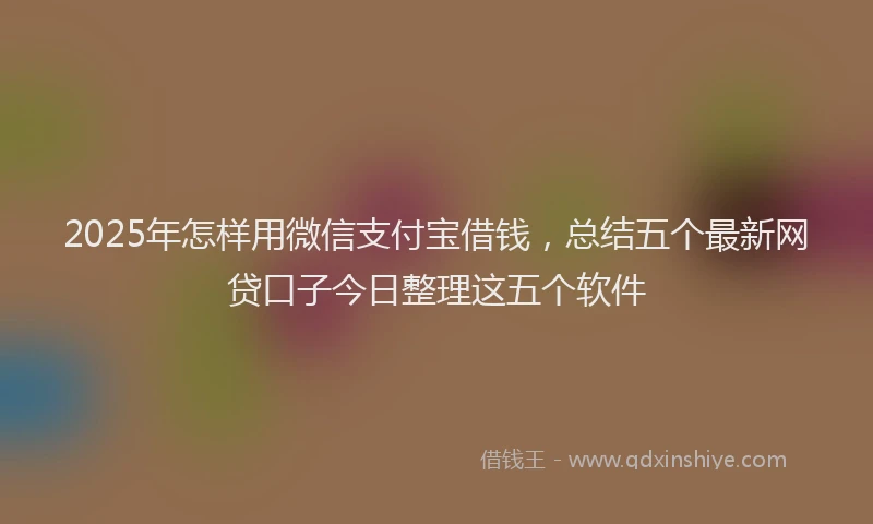 2025年怎样用微信支付宝借钱，总结五个最新网贷口子今日整理这五个软件