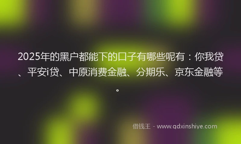 2025年的黑户都能下的口子有哪些呢有：你我贷、平安i贷、中原消费金融、分期乐、京东金融等。