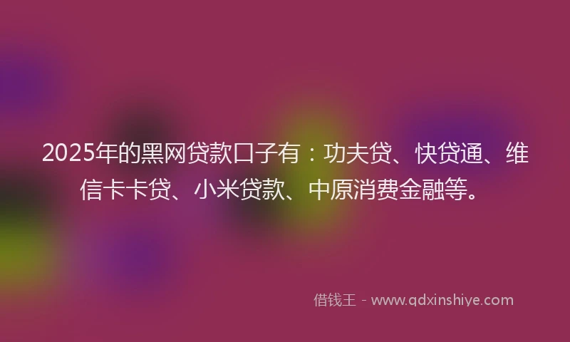 2025年的黑网贷款口子有：功夫贷、快贷通、维信卡卡贷、小米贷款、中原消费金融等。