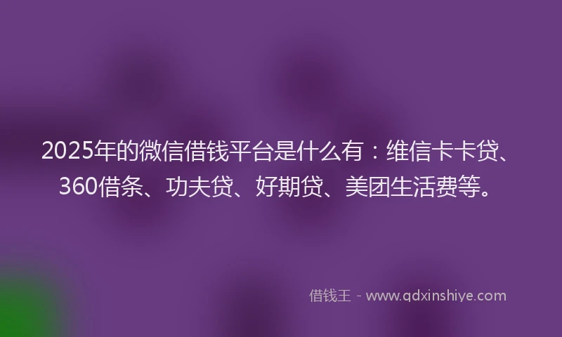 2025年的微信借钱平台是什么有：维信卡卡贷、360借条、功夫贷、好期贷、美团生活费等。