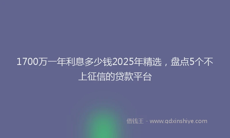 1700万一年利息多少钱2025年精选，盘点5个不上征信的贷款平台
