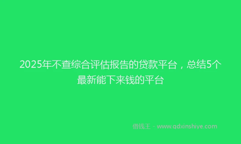 2025年不查综合评估报告的贷款平台，总结5个最新能下来钱的平台