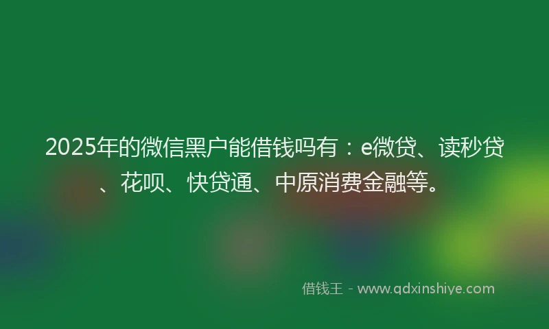 2025年的微信黑户能借钱吗有：e微贷、读秒贷、花呗、快贷通、中原消费金融等。