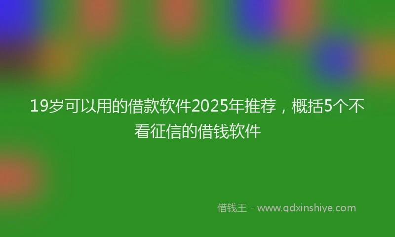 19岁可以用的借款软件2025年推荐，概括5个不看征信的借钱软件