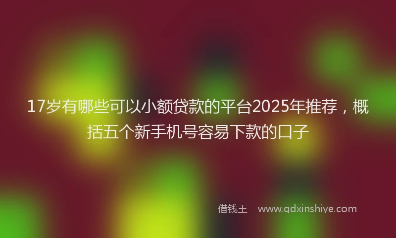 17岁有哪些可以小额贷款的平台2025年推荐，概括五个新手机号容易下款的口子