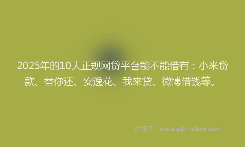 2025年的10大正规网贷平台能不能借有：小米贷款、替你还、安逸花、我来贷、微博借钱等。