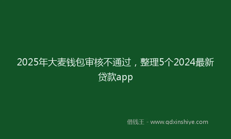 2025年大麦钱包审核不通过，整理5个2024最新贷款app