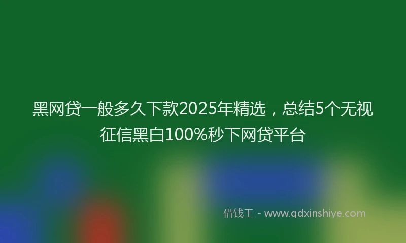 黑网贷一般多久下款2025年精选，总结5个无视征信黑白100%秒下网贷平台