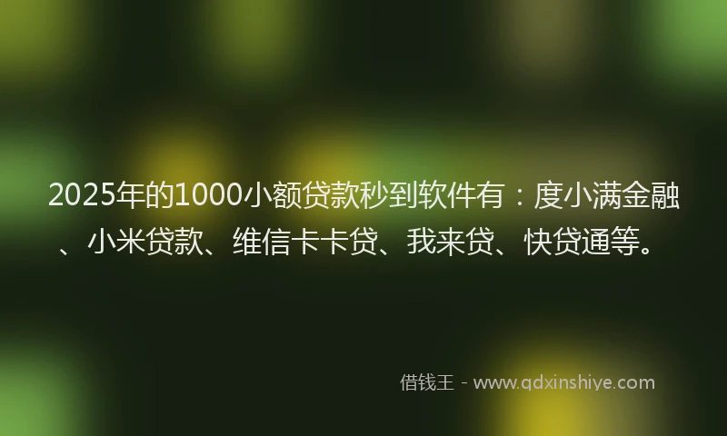 2025年的1000小额贷款秒到软件有：度小满金融、小米贷款、维信卡卡贷、我来贷、快贷通等。