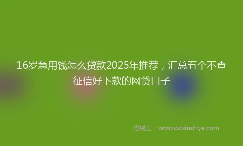 16岁急用钱怎么贷款2025年推荐，汇总五个不查征信好下款的网贷口子