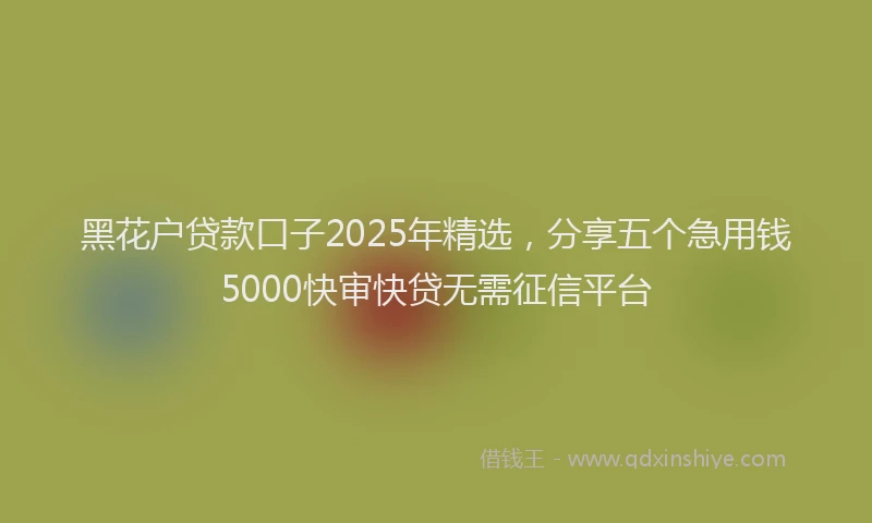 黑花户贷款口子2025年精选，分享五个急用钱5000快审快贷无需征信平台