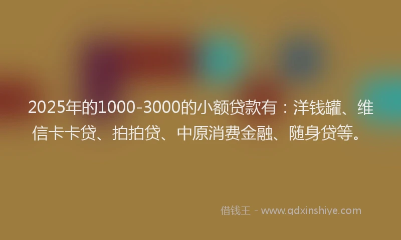 2025年的1000-3000的小额贷款有：洋钱罐、维信卡卡贷、拍拍贷、中原消费金融、随身贷等。