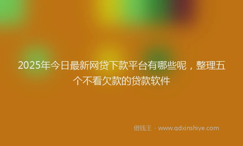 2025年今日最新网贷下款平台有哪些呢，整理五个不看欠款的贷款软件