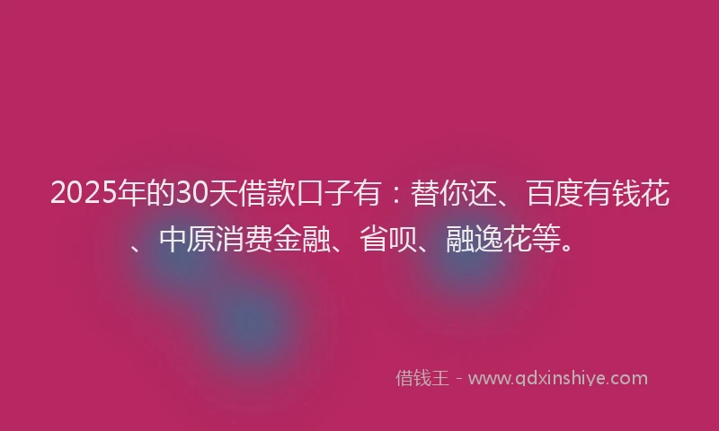 2025年的30天借款口子有：替你还、百度有钱花、中原消费金融、省呗、融逸花等。
